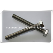 Stainless Steel Hexagon Head Bolt DIN933